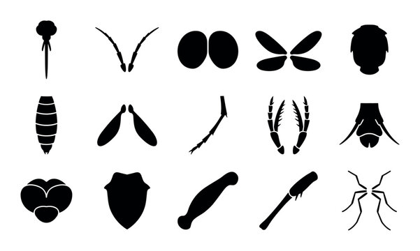 Mosquito anatomy vector icons with proboscis, wings and legs for mobile app design in silhouette style