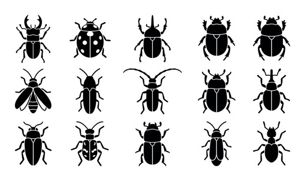 Beetle-related vector icons with ladybug, rhinoceros beetle and stag beetle for presentation design in silhouette style
