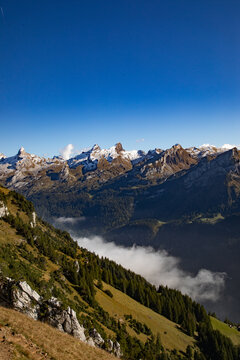 View of the Swiss Alps with snow-capped peaks, dense pine forests, and clouds settling in the valley under a clear blue sky in Airolo, Ticino, Switzerland.