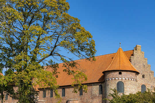 View of the historic Nyborg Castle with its distinctive brick walls, conical tower, and orange tiled roof, framed by a large tree under a clear blue sky in Nyborg, Fyn, Denmark.
