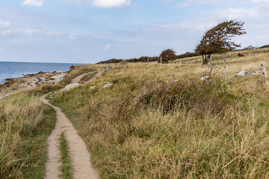 View of a coastal path along the grassy cliffs of Hindsholm with a windswept tree and rocky shoreline in Kerteminde, Kerteminde Municipality, Denmark.