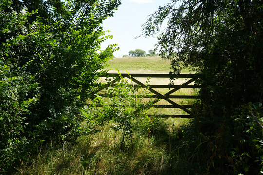 Wooden five bar gate in a sunlit field