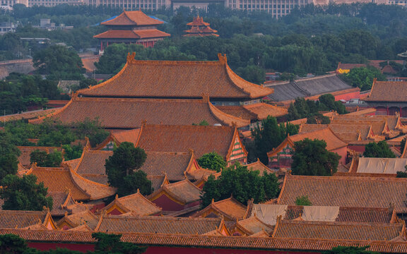 View of the Forbidden City with its iconic golden-tiled roofs and traditional Chinese architecture set against lush trees in Beijing, Beijing, China.