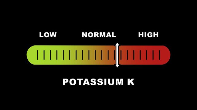 Dynamic potassium k level indicator gauge animation showing fluctuating mineral levels from low to normal and ranges for medical health diagnostics, nutritional analysis, and clinical laboratory