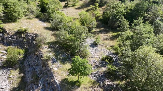 Ripresa zenitale con drone di un terreno montano aspro, caratterizzato da evidenti stratificazioni rocciose, pietraie e alberi sparsi illuminati dal sole estivo