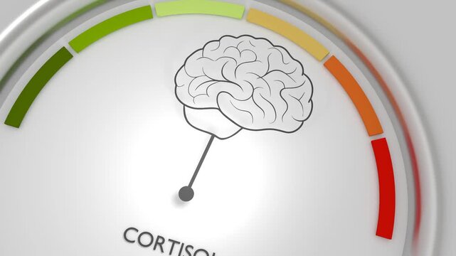 Fluctuation of the hormone cortisol concentration in humans. Cortisol secretion. Gradient scale. Hormone level measuring device as human head. A brain icon as pointer reads bad result