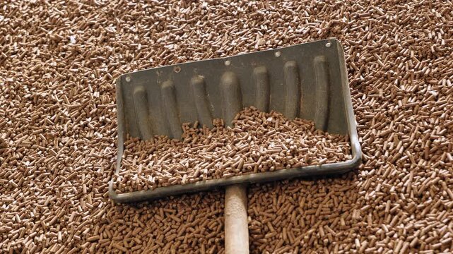 Shovel scooping feed pellets, providing nutrition for livestock on a farm