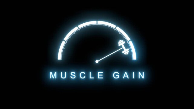 A rating dial scale with a dumbbell icon pointer reads MUSCLE GAIN at a high level. It presents fitness, training, workout, bodybuilding, strength, power, mass, nutrition, protein, growth and health.