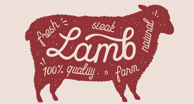 Sheep, lamb, lettering. Silhouette sheep, lettering Lamb, Vintage sheep silhouette, lettering meat lamb text design. Retro vintage poster meat market, meat organic symbol. Vector Illustration