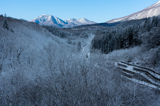 季節外れの雪で白くなった木々と妙高山麓