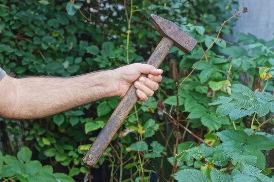 A workers hand holds a large old brown hammer against a backdrop of green vegetation on a summer street