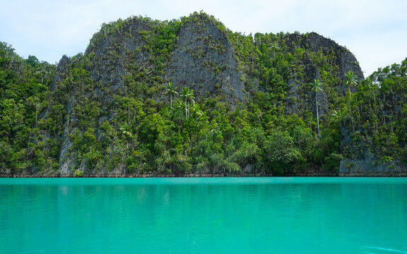View of towering limestone karst cliffs covered in lush tropical vegetation rising from the vibrant turquoise waters of the sea in Indonesia.
