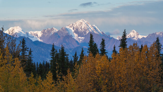 View of the Denali Highway with snow-capped mountains in the background and autumn foliage in the foreground in Cantwell, Alaska, United States.