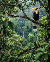 Fototapeta premium american bald eagle