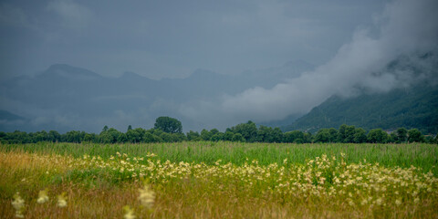 Obraz premium Beautiful summer mountain landscape with a blooming wildflower meadow under a dramatic stormy sky.