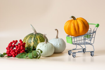 Pumpkins and red rowan berries with miniature shopping cart on beige background with copy space © Anastasiia