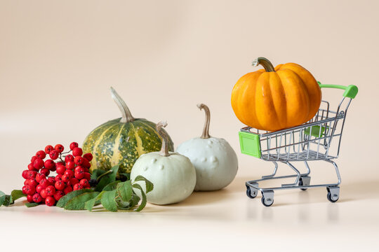Pumpkins and red rowan berries with miniature shopping cart on beige background with copy space
