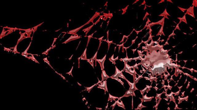 Dark Red Spider Web with Dripping Blood Effect for Halloween concept Horror Animation. Transparent background