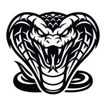 Angry King Cobra Snake Mascot Head with Open Mouth and Fangs Vector