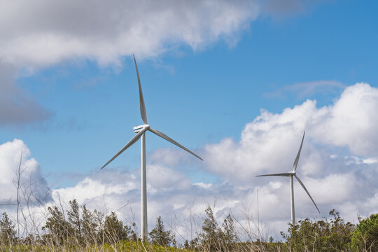 View of wind turbines at Parque Eolico da Serra dos Candeeiros set against a bright blue sky with scattered white clouds and green trees in the foreground in Rio Maior, Santarem, Portugal.