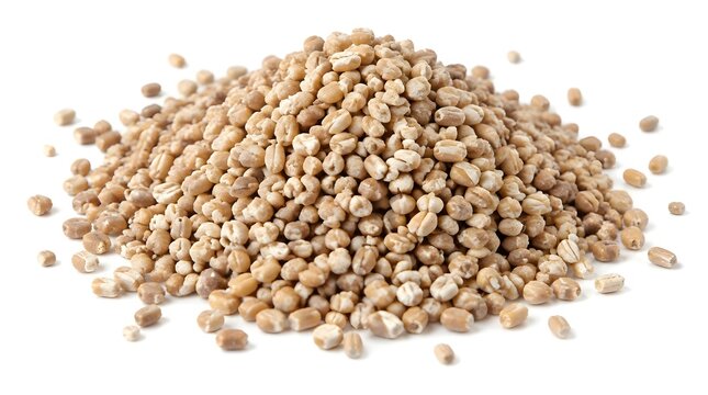 Heap of organic pearl barley grains isolated on white
