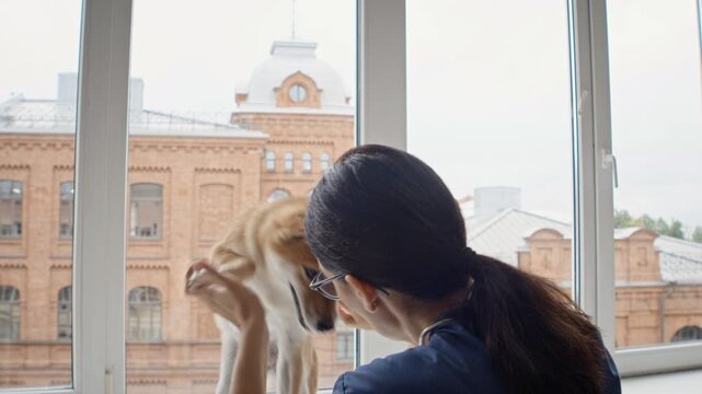 Caucasian young adult female veterinarian examining Shiba Inu dog in veterinary clinic, rear view. Perfect for pet healthcare advertising and veterinary services promotion