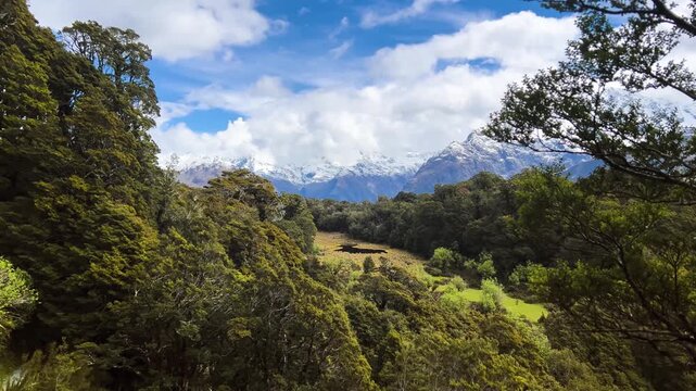 Beech branches frame a view over the Routeburn valley in New Zealand, green flats below and a line of snow capped peaks standing under bright cumulus cloud. Wide shot