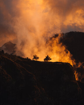View of two trees silhouetted against a dramatic, golden, misty sunset over rugged cliffs in Madeira, Portugal.