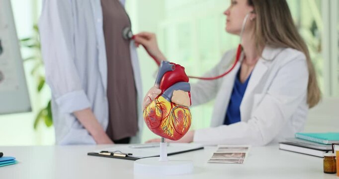 Female doctor uses stethoscope during examination of patient with heart problems. Physician listens checking chest condition behind heart model