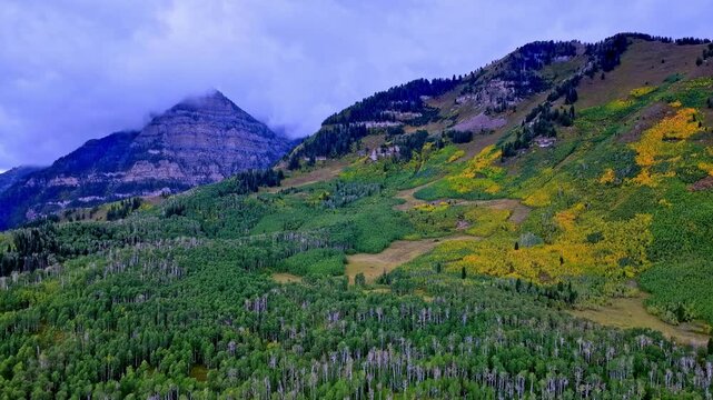 Drone video pulls back over the Uinta Mountains of Utah as vibrant aspen forests shift to yellow in early autumn, with low clouds moving over rugged alpine peaks in soft natural light.