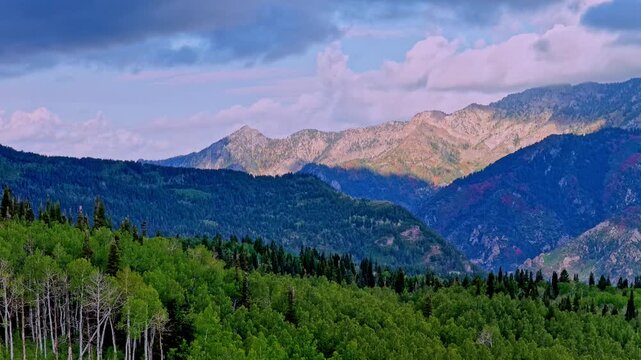 Autumn trees on the distant Uinta mountain slopes under moody clouds - descending drone becomes masked by trees for a dramatic edit transition