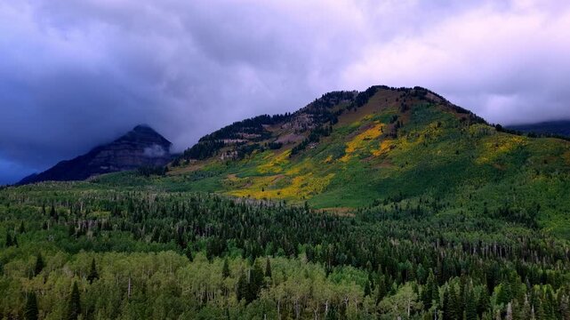 Rugged mountain slope as the aspen forest turns yellow at the beginning of autumn and clouds touch the peaks - wide angle push in aerial flyover with copy space