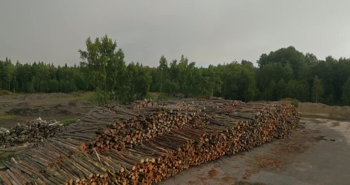 Drone approaches and flies over neatly stacked logs at a Swedish forestry site, revealing a dense forest behind the timber yard and highlighting logging and wood production.