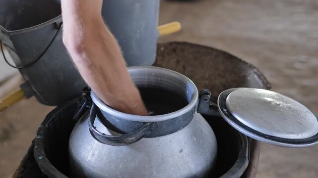 Hand pouring fresh milk into a traditional can at a dairy farm, organic farming concept