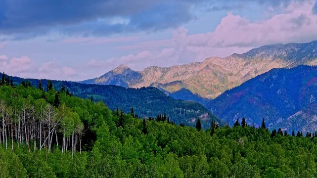 Rising drone reveals the Wasatch Mountains in Utah as autumn transforms aspen leaves into shades of orange and yellow. Lush forests and rugged peaks under soft daylight.