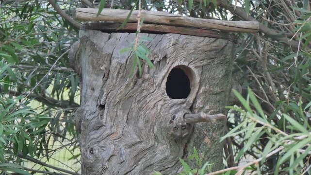Animal hut in the forest