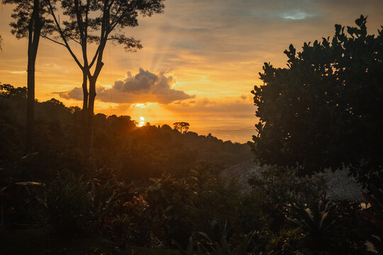 View of a vibrant sunset over the Pacific Ocean framed by lush tropical jungle foliage and silhouetted trees in Uvita, Puntarenas Province, Costa Rica.