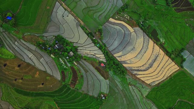 Wide drone view over flooded rice paddies in Salvacion, Tigaon, where golden sunlight creates bright reflections across the agricultural landscape.