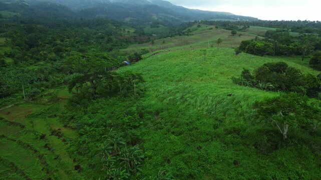 Ocampo, Camarines Sur, capturing expansive rice paddies, farms and tropical greenery around Villaflorida with Mount Isarog emerging through a cloudy rainy-season atmosphere.