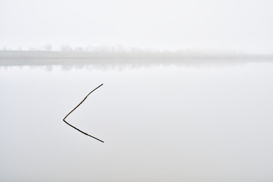View of a single stick emerging from the calm, reflective surface of a lake in the thick morning fog with a distant treeline in Campogalliano, Emilia-Romagna, Italy.