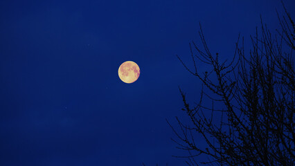 Full Moon, stars and planets above landscape silhouettes. © astrosystem