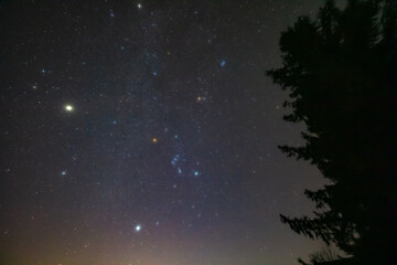 Orion constellation, zodiacal light and Milky Way stars on a dark countryside skies. © astrosystem