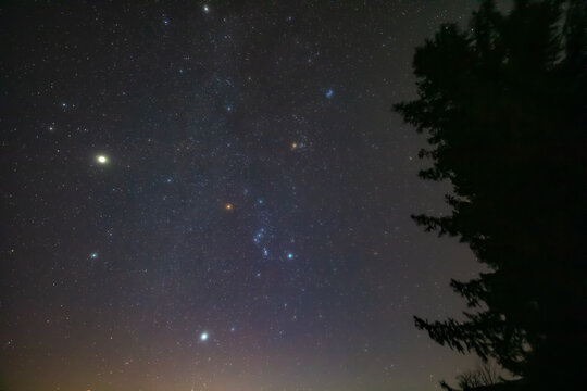 Orion constellation, zodiacal light and Milky Way stars on a dark countryside skies.