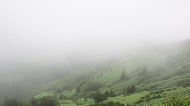 渋峠の斜面を覆い尽くす幻想的な霧と雲