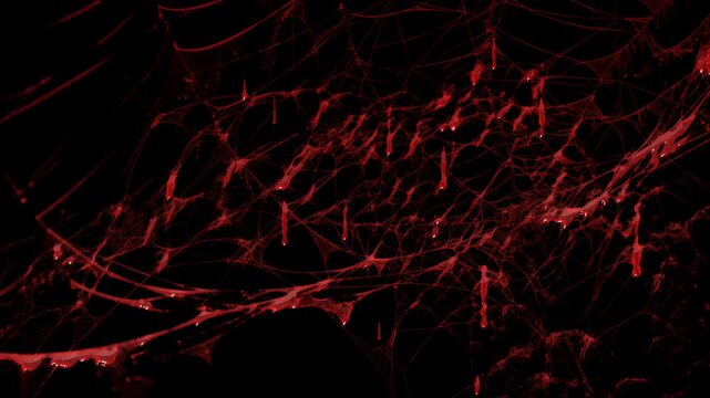 Animated Spider Web with Red Liquid Drips and Dark Gothic Atmosphere on transparent background. Halloween spider web background. Graphic resource concept. 