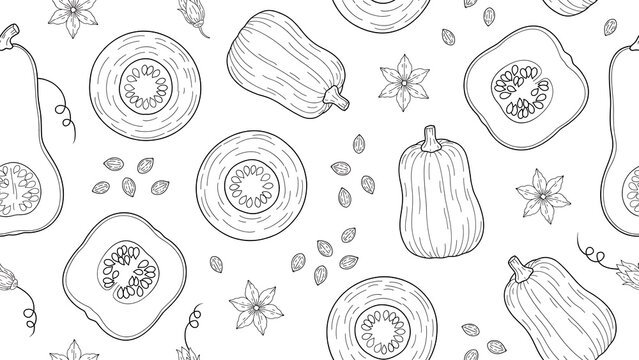 Seamless pattern with line butternut squash and seeds on a white background