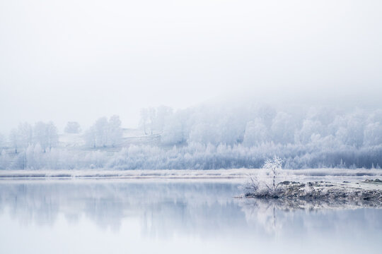 Frosted trees and grass on the shore of lake at foggy sunrise. Trees and hills are reflected in the water. Beautiful winter landscape