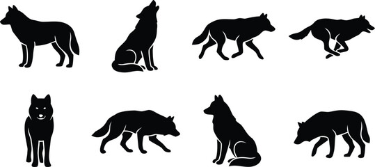 Obraz premium Black Wolf Silhouettes Standing Howling Running And Walking In The Wild