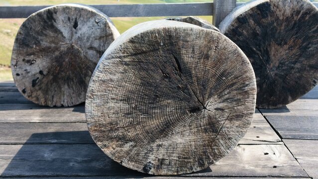 Close-up of round wooden log ends with visible growth rings, arranged as rustic outdoor furniture