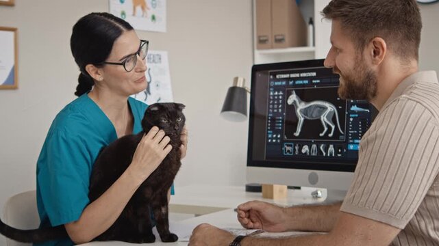 Caucasian female veterinarian examining black cat while consulting Caucasian male pet owner. Footage suited for animal health commercials, veterinary clinic ads, and pet medical care promotions